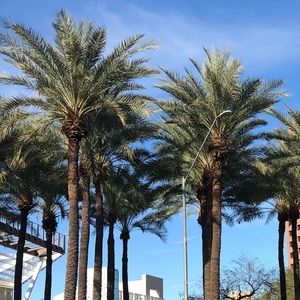 Meet your Posher, Annie